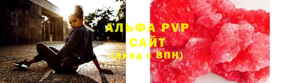 ПСИЛОЦИБИНОВЫЕ ГРИБЫ Вяземский