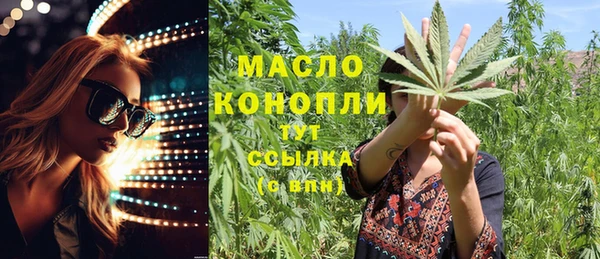 ПСИЛОЦИБИНОВЫЕ ГРИБЫ Вяземский