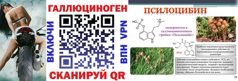 Псилоцибиновые грибы прущие грибы  Краснообск 